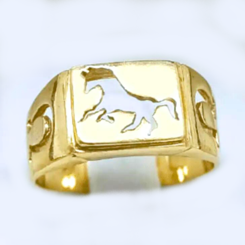 ANEL COWBOY SEM PEDRAS